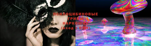 крисы Алексин