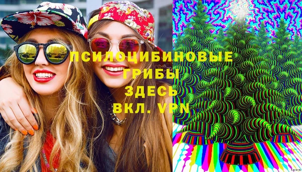крисы Алексин