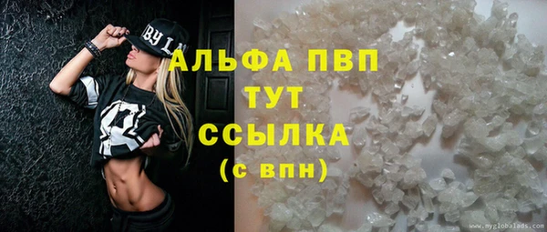 стаф Осинники