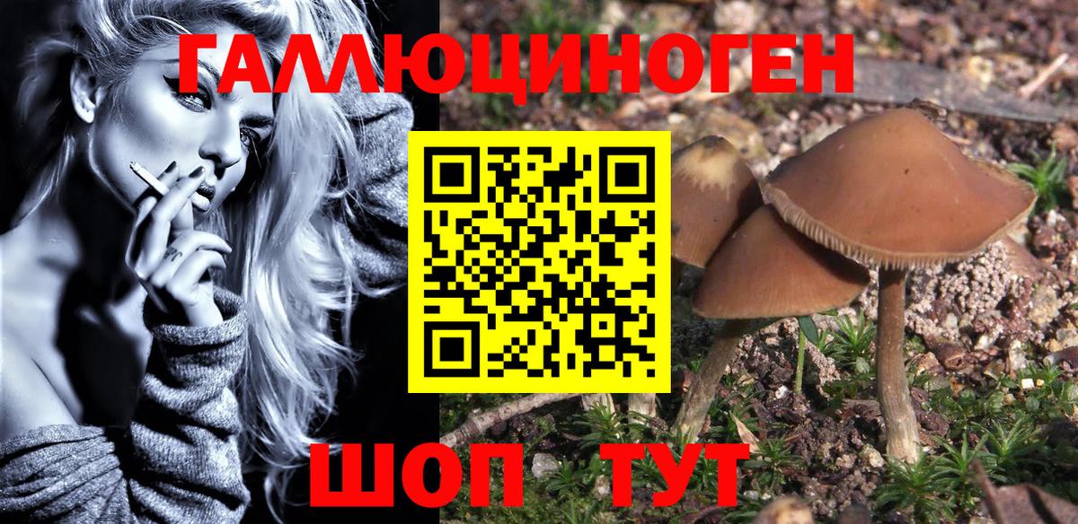 Галлюциногенные грибы Magic Shrooms Ижевск