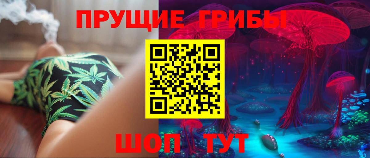 Ижевск  Галлюциногенные грибы Psilocybine cubensis  Вход с VPN  Псилоцибиновые грибы прущие грибы 